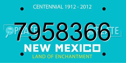 7958366 New Mexico License Plate