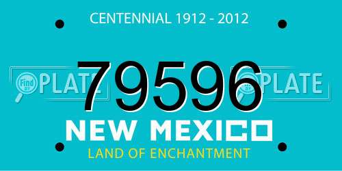 79596 New Mexico License Plate