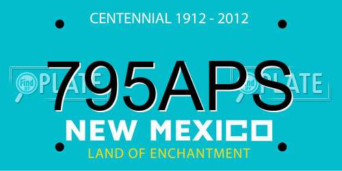795APS New Mexico License Plate