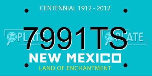 7991TS New Mexico License Plate