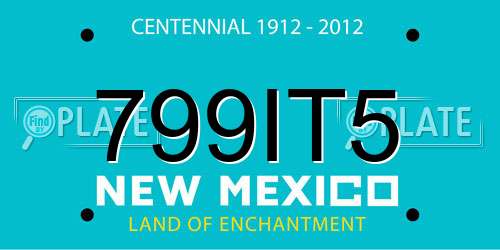 799IT5 New Mexico License Plate
