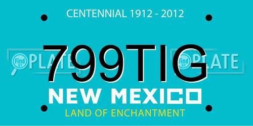 799TIG New Mexico License Plate