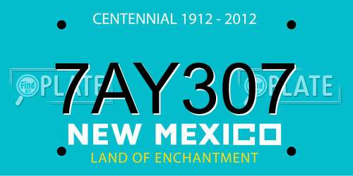 7AY307 New Mexico License Plate