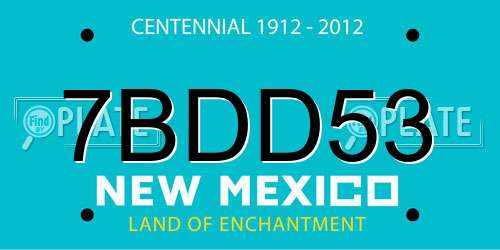 7BDD53 New Mexico License Plate