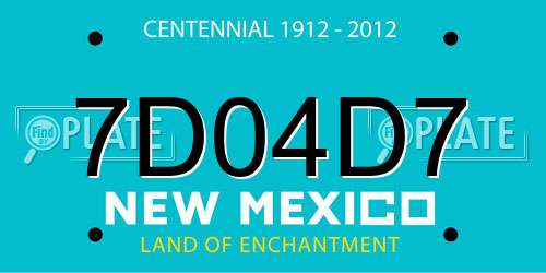 7D04D7 New Mexico License Plate