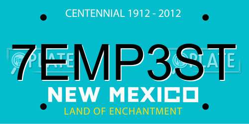 7EMP3ST New Mexico License Plate
