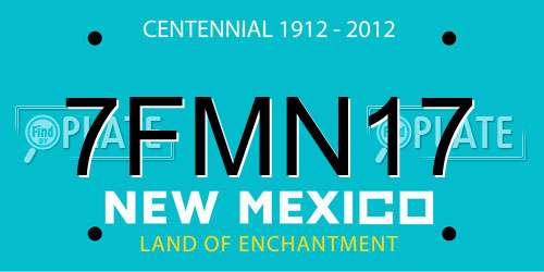 7FMN17 New Mexico License Plate