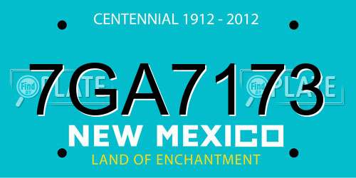 7GA7173 New Mexico License Plate