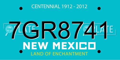 7GR8741 New Mexico License Plate