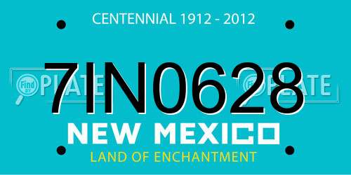 7IN0628 New Mexico License Plate