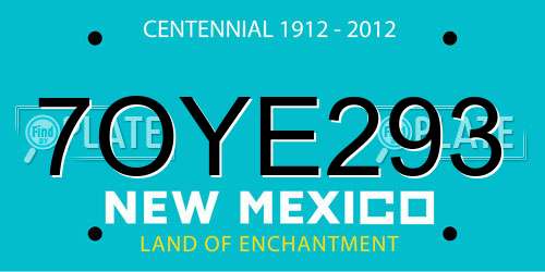 7OYE293 New Mexico License Plate