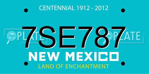 7SE787 New Mexico License Plate