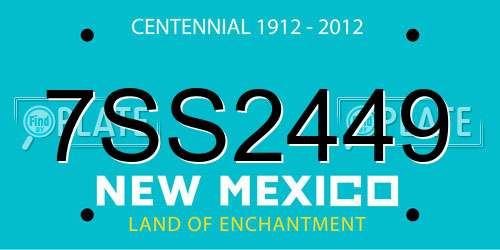 7SS2449 New Mexico License Plate