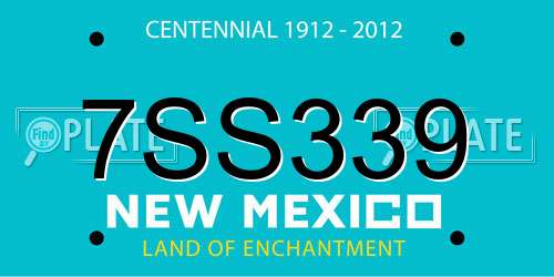 7SS339 New Mexico License Plate