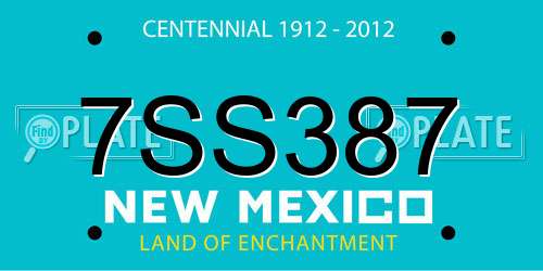 7SS387 New Mexico License Plate
