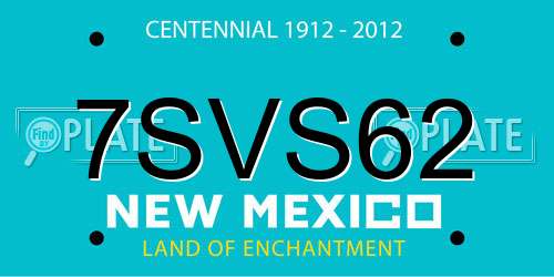 7SVS62 New Mexico License Plate