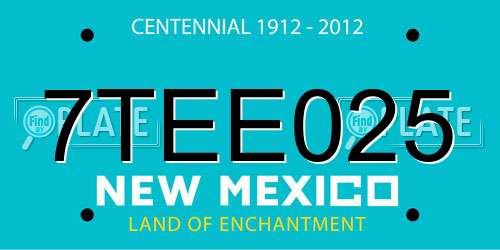 7TEE025 New Mexico License Plate