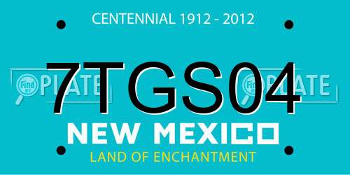 7TGS04 New Mexico License Plate