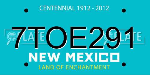 7TOE291 New Mexico License Plate