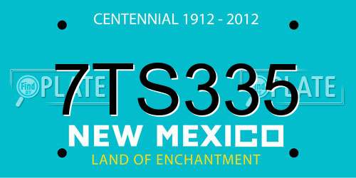 7TS335 New Mexico License Plate