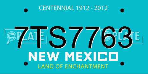 7TS7763 New Mexico License Plate