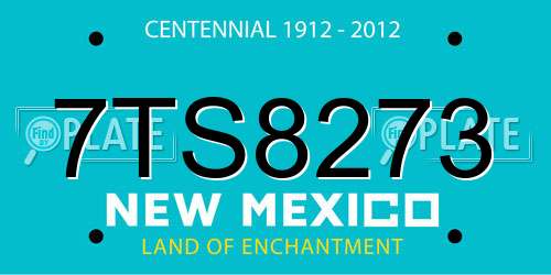 7TS8273 New Mexico License Plate