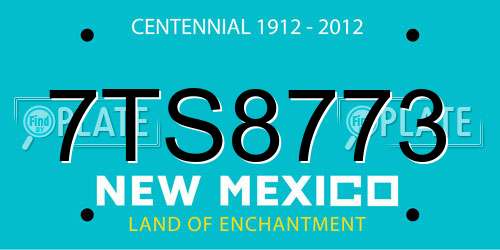 7TS8773 New Mexico License Plate