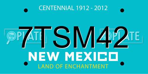 7TSM42 New Mexico License Plate