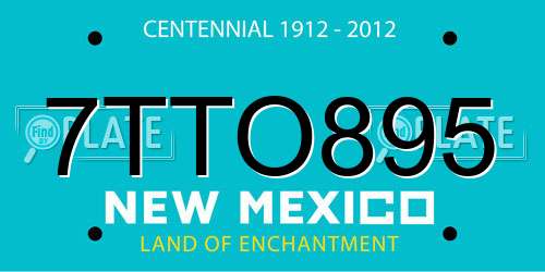 7TTO895 New Mexico License Plate