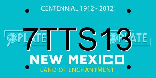 7TTS13 New Mexico License Plate