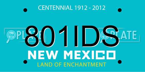 801IDS New Mexico License Plate