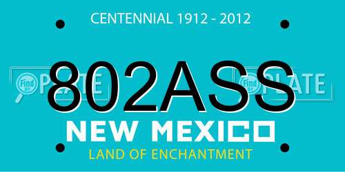 802ASS New Mexico License Plate