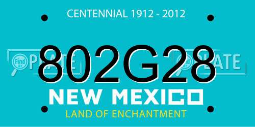 802G28 New Mexico License Plate