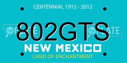 802GTS New Mexico License Plate