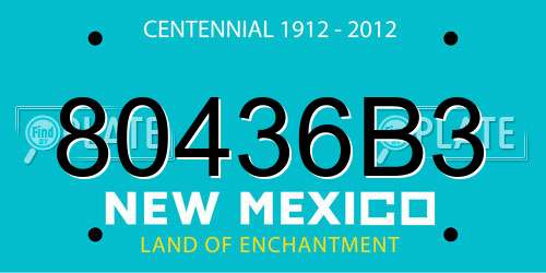 80436B3 New Mexico License Plate