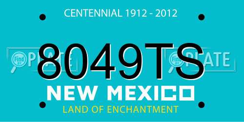 8049TS New Mexico License Plate