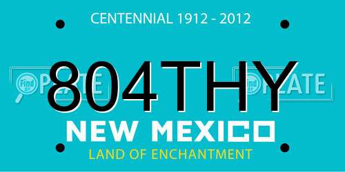 804THY New Mexico License Plate