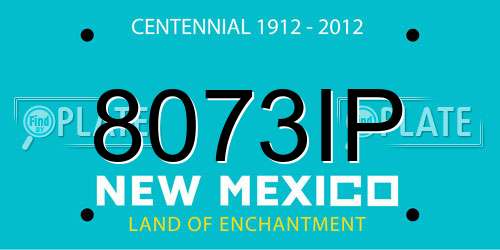 8073IP New Mexico License Plate