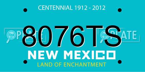 8076TS New Mexico License Plate