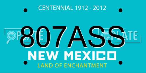 807ASS New Mexico License Plate