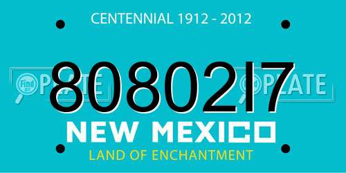 80802I7 New Mexico License Plate