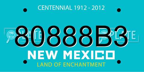 80888B3 New Mexico License Plate
