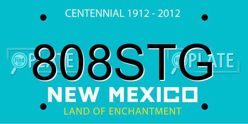 808STG New Mexico License Plate