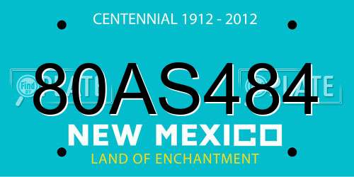 80AS484 New Mexico License Plate