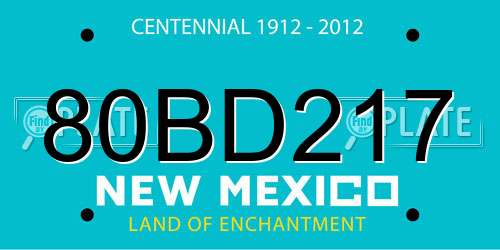 80BD217 New Mexico License Plate