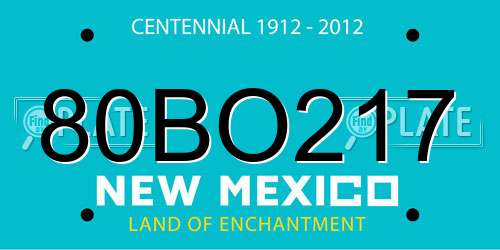 80BO217 New Mexico License Plate
