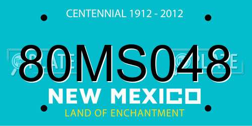 80MS048 New Mexico License Plate