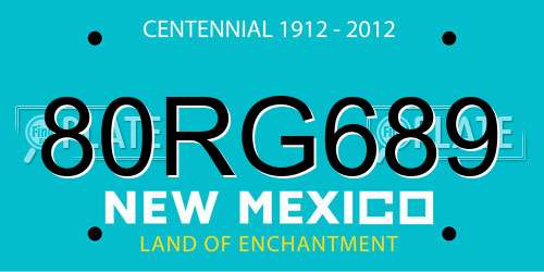 80RG689 New Mexico License Plate