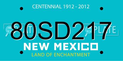 80SD217 New Mexico License Plate