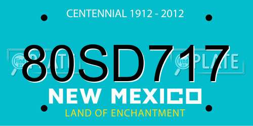 80SD717 New Mexico License Plate